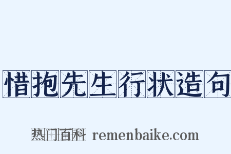 惜抱先生行状造句是什么意思的图片